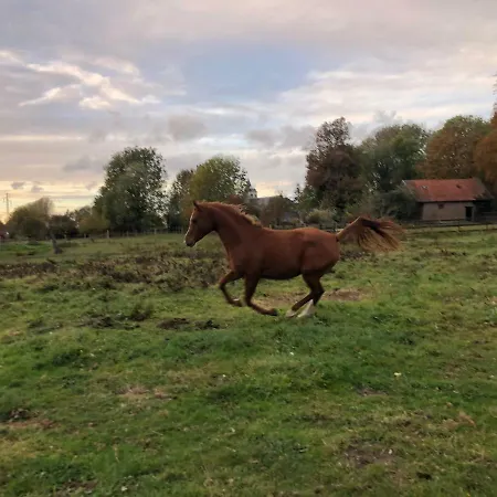 Gasthuis La Tour Blanche