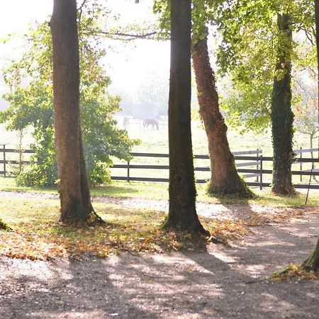 Gasthuis La Tour Blanche 4*