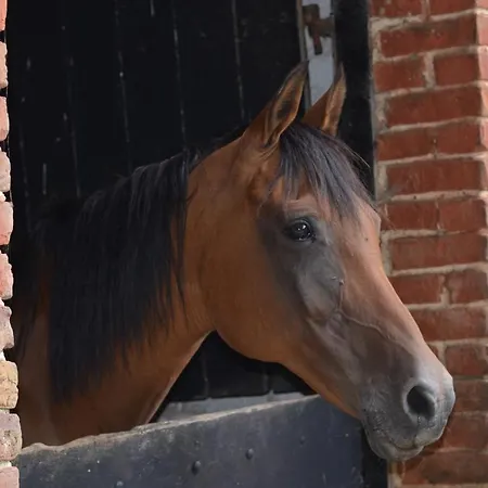 La Tour Blanche 4* Forest-Montiers