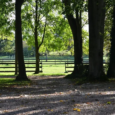 Guest house La Tour Blanche 4*