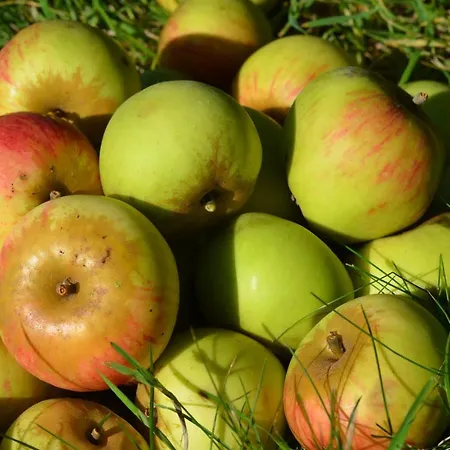 Maison d'hôtes La Tour Blanche Forest-Montiers