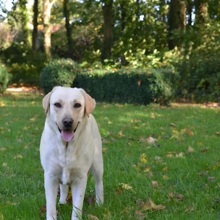 La Tour Blanche Maison d'hôtes 4*