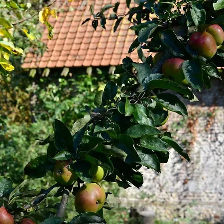La Tour Blanche Maison d'hôtes