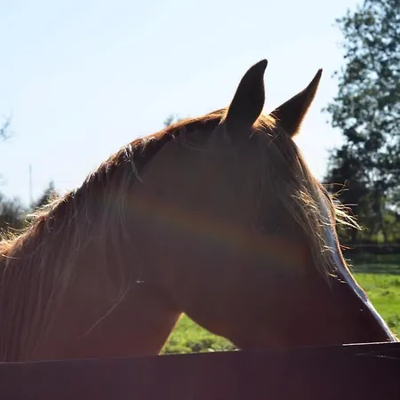 Gasthuis La Tour Blanche