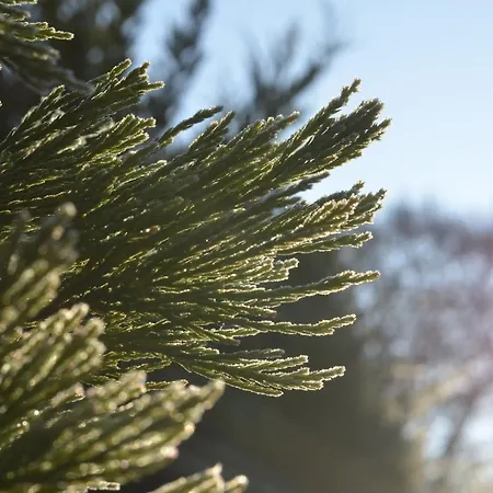 La Tour Blanche Maison d'hôtes 4*