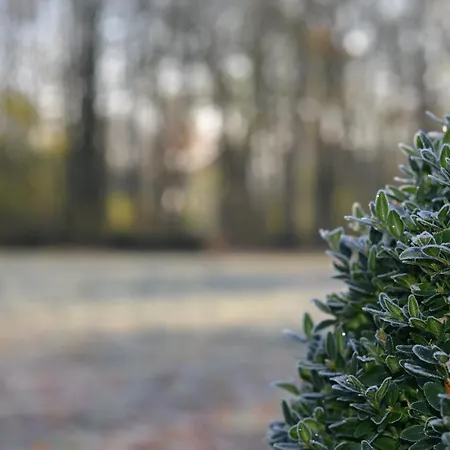 La Tour Blanche Gæstehus