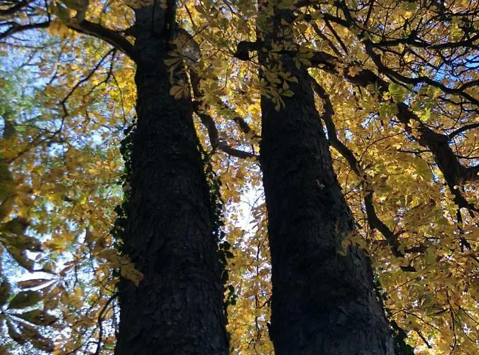 Guest house La Tour Blanche 4*