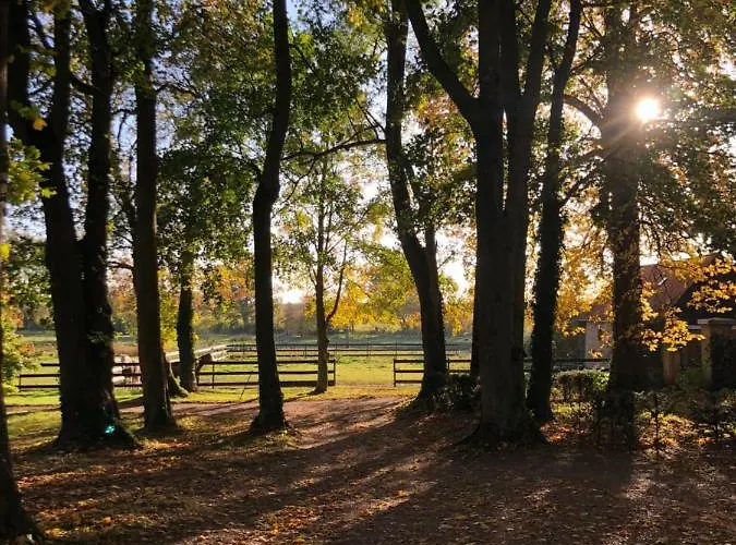Guest house La Tour Blanche