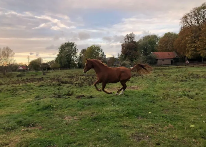 Guest house La Tour Blanche