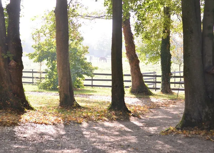 Affittacamere La Tour Blanche 4*