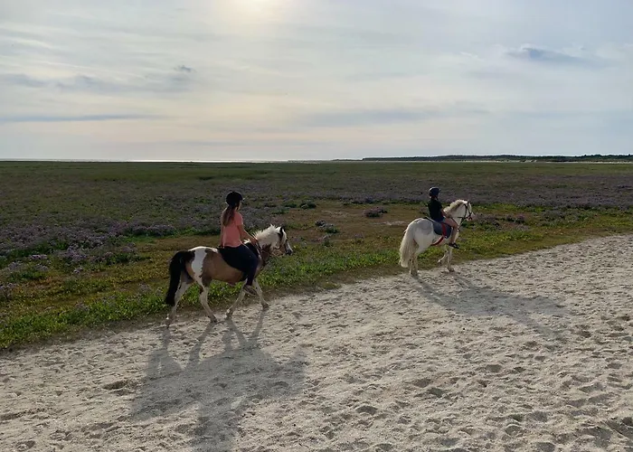La Tour Blanche Forest-Montiers