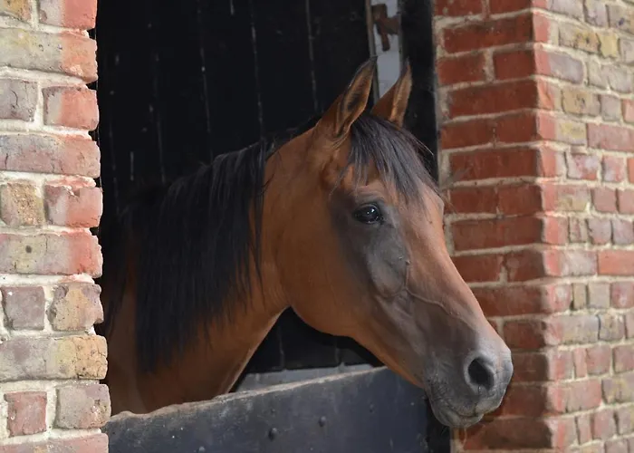 La Tour Blanche 4* Forest-Montiers