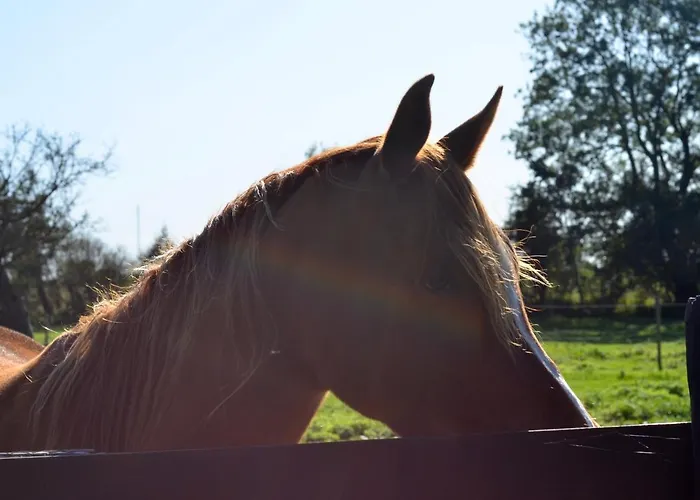 Guest house La Tour Blanche