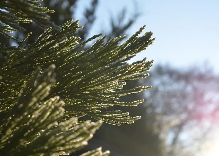 La Tour Blanche Guest house 4*