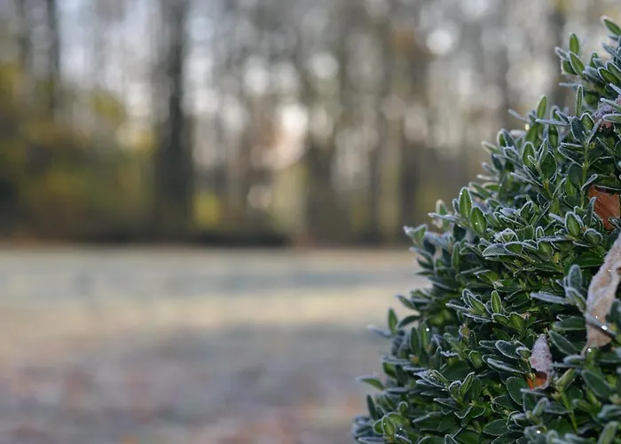 La Tour Blanche Guest house