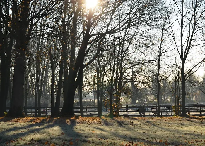 La Tour Blanche Affittacamere 4*